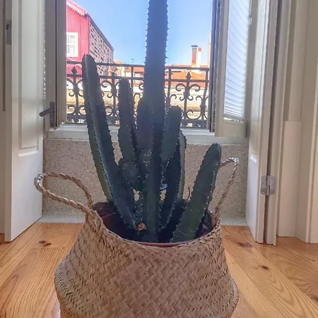 Cl Ildefonso Iii 公寓 波尔图