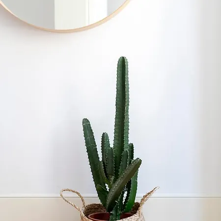 公寓 Cl Ildefonso Iii *