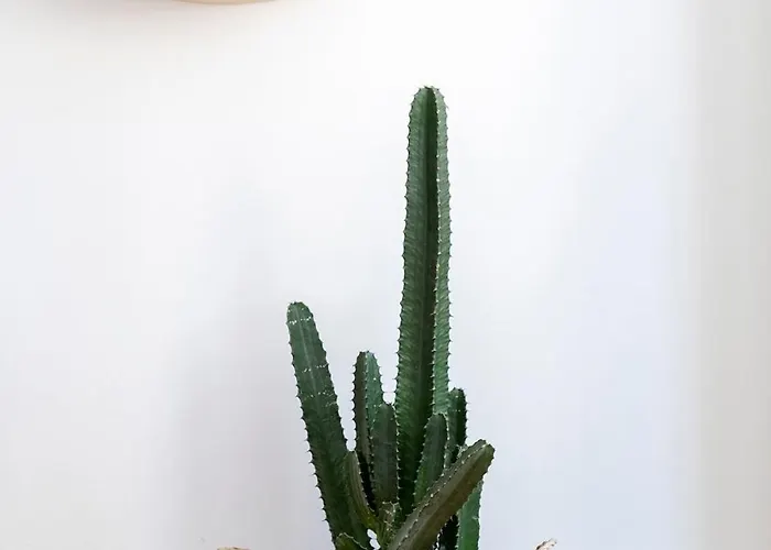 Daire Cl Ildefonso Iii *