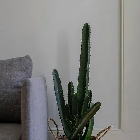 Cl Ildefonso Iii Apartament *