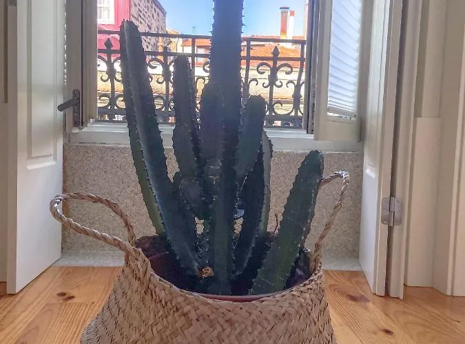 Cl Ildefonso Iii Apartman Porto