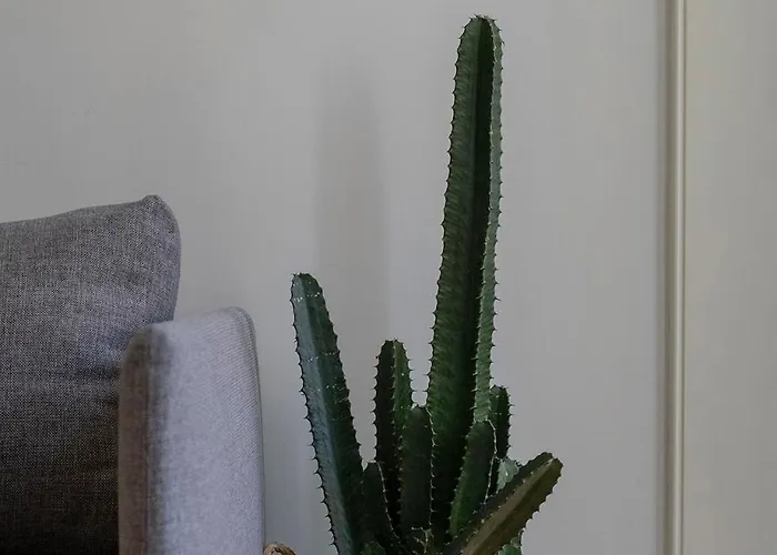 Cl Ildefonso Iii Apartamento *